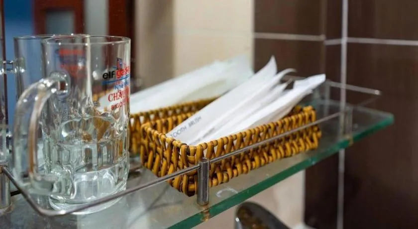 Tuan Viet Hotel Dinh Tien Hoang