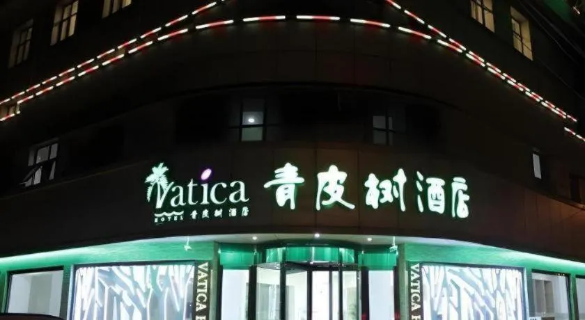 Vatica Tianjin Jinghai Bus Station Home World Plaza Hotel