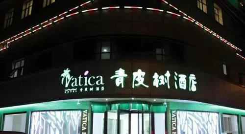 Vatica Tianjin Jinghai Bus Station Home World Plaza Hotel