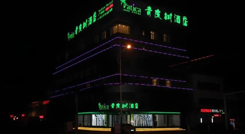 Vatica Tianjin Jinghai Bus Station Home World Plaza Hotel
