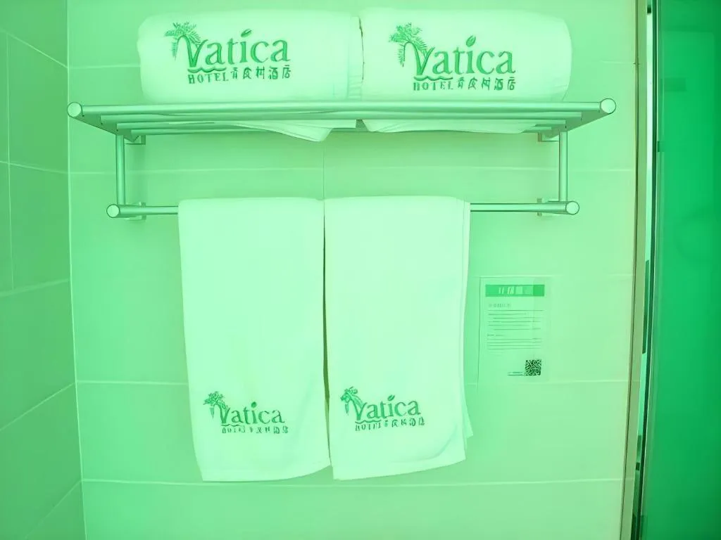 Vatica Tianjin Jinghai Bus Station Home World Plaza Hotel