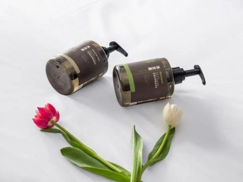 ibis Styles Dongguan Chang-an Wanda Plaza Hotel