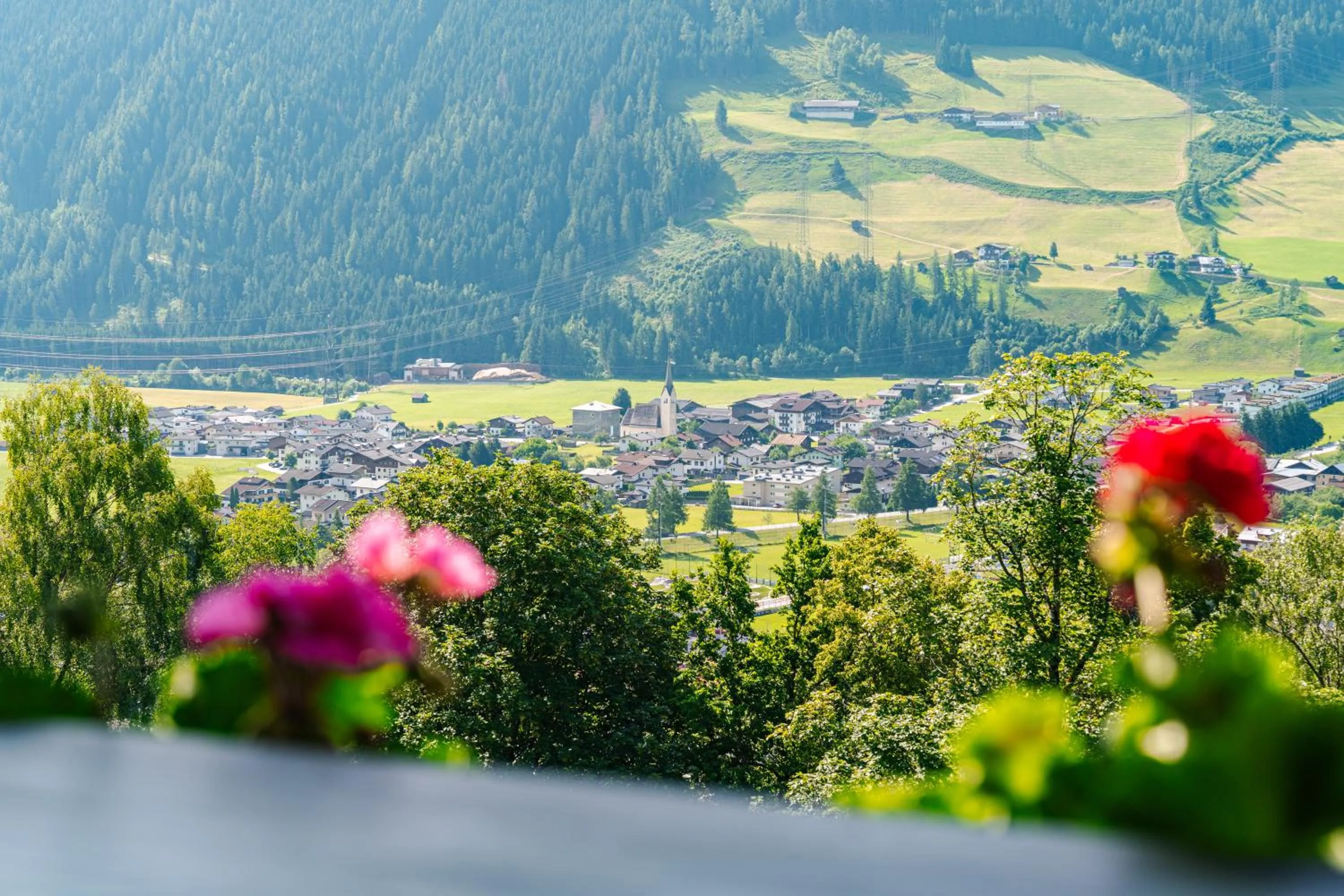 View (from property/room) in Pension Schlossberg