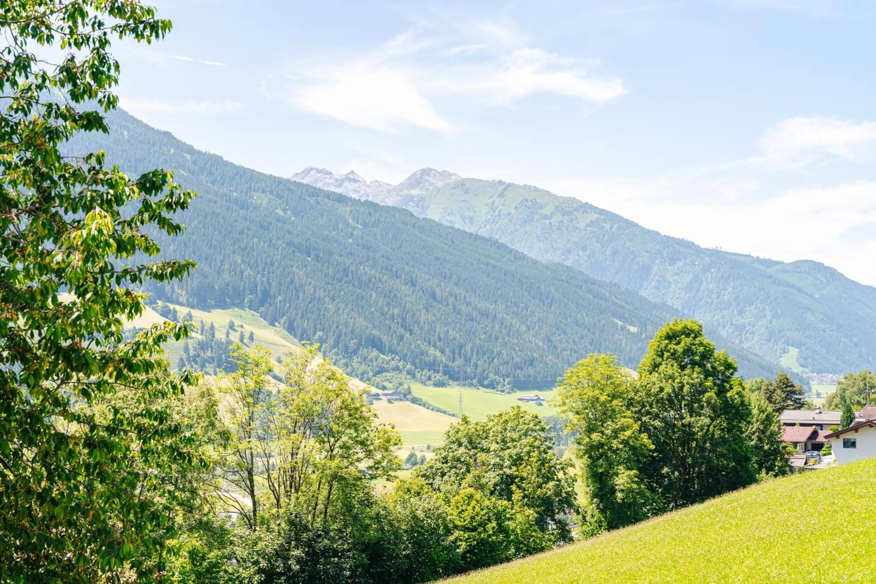 View (from property/room) in Pension Schlossberg