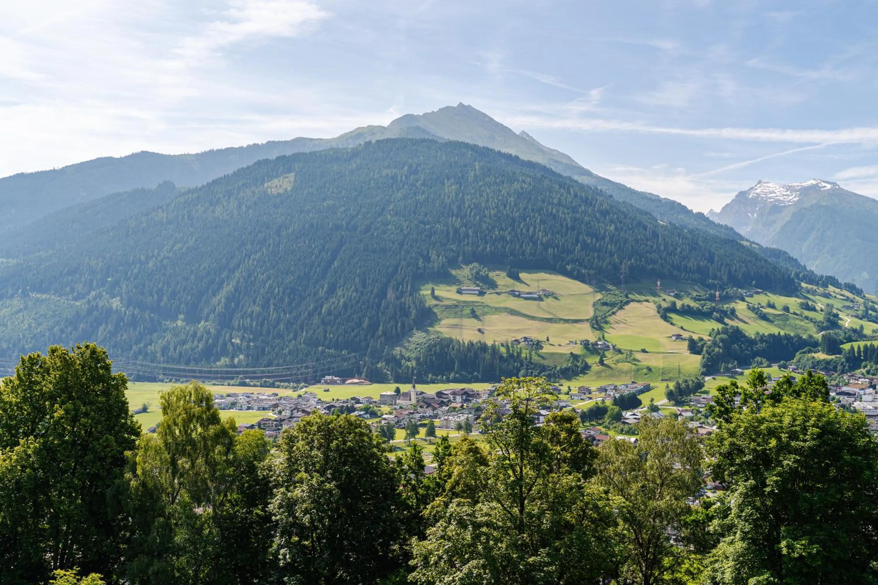 View (from property/room) in Pension Schlossberg