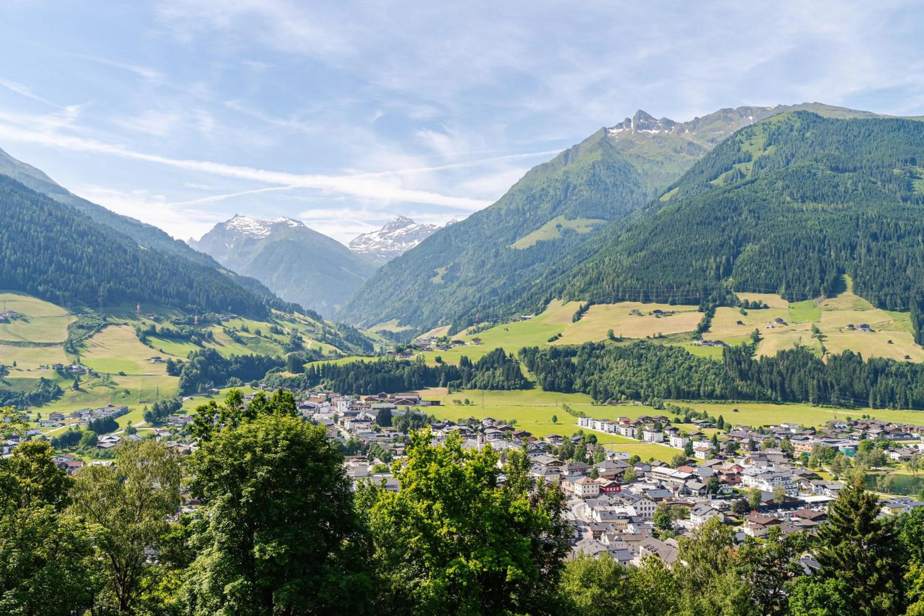 View (from property/room) in Pension Schlossberg