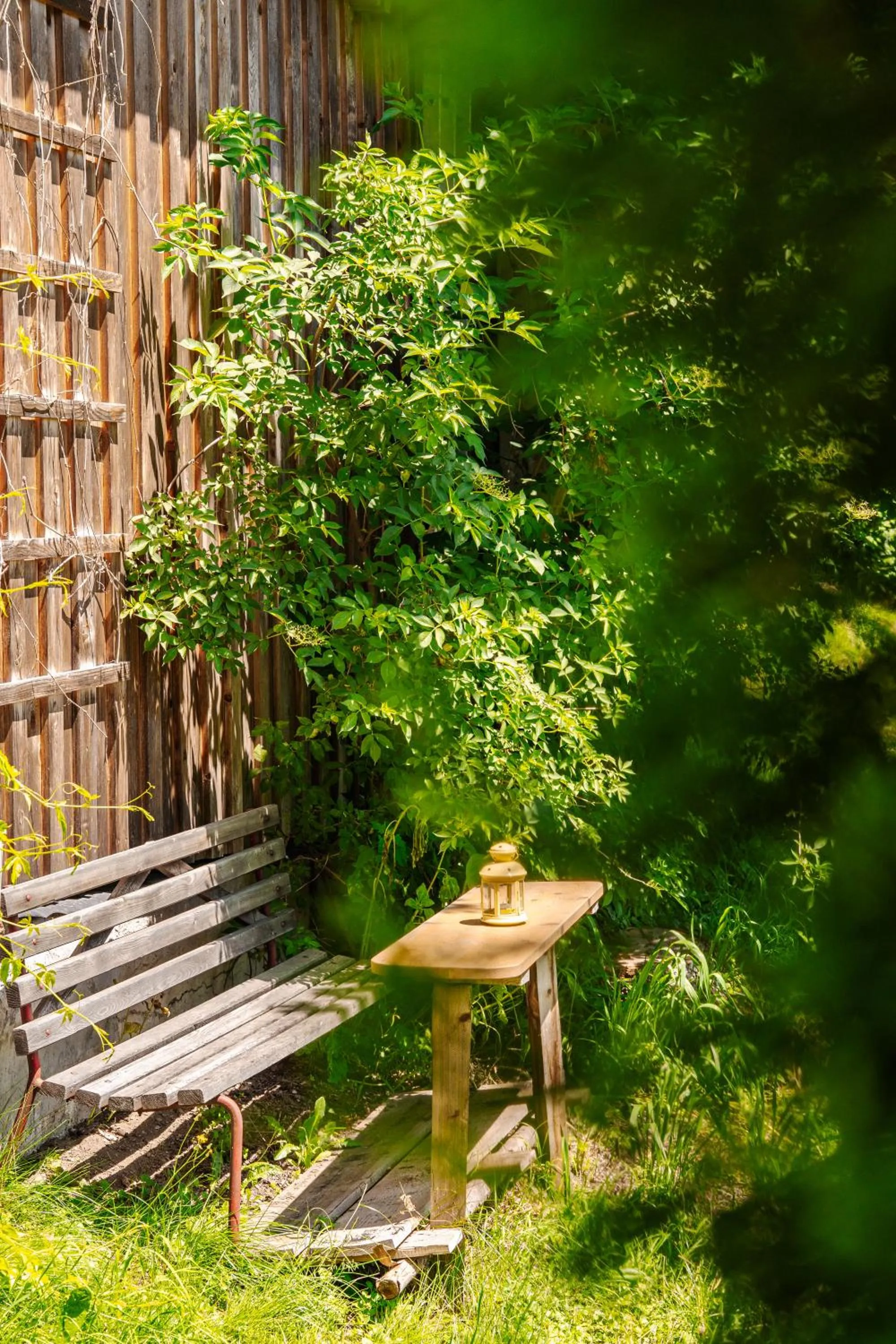 Garden in Pension Schlossberg