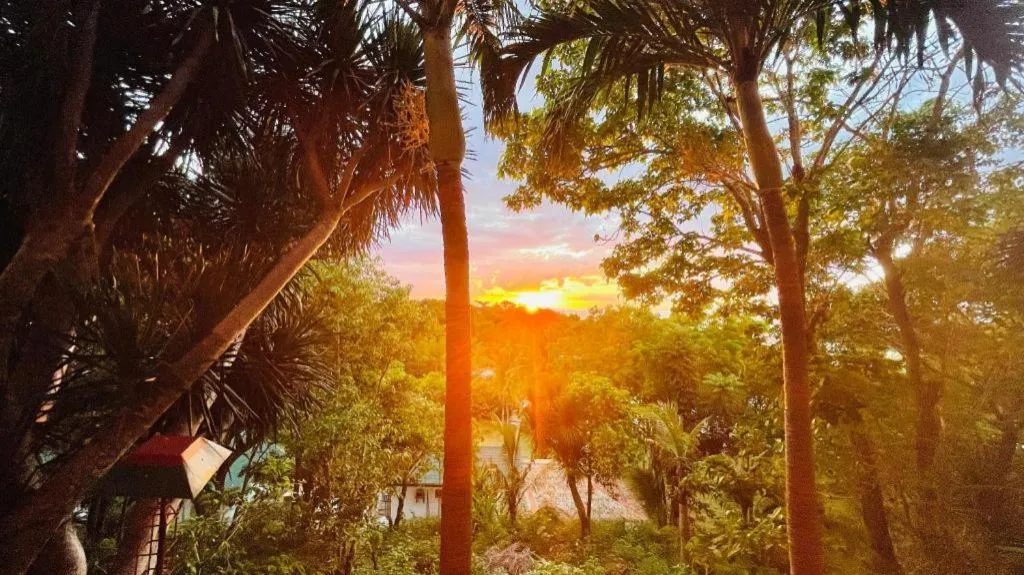 Zhang Resort and Dive Center OPC