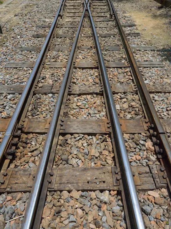 OYO 91476 Srikaya Hotel 3