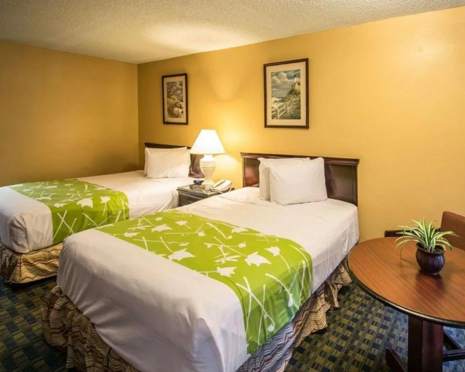 Bed in Quality Inn Kissimmee West - Lake Buena Vista South