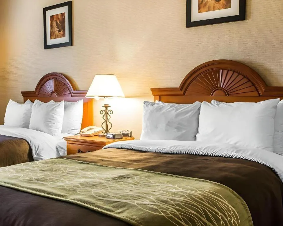 Bed in Quality Inn Sidney