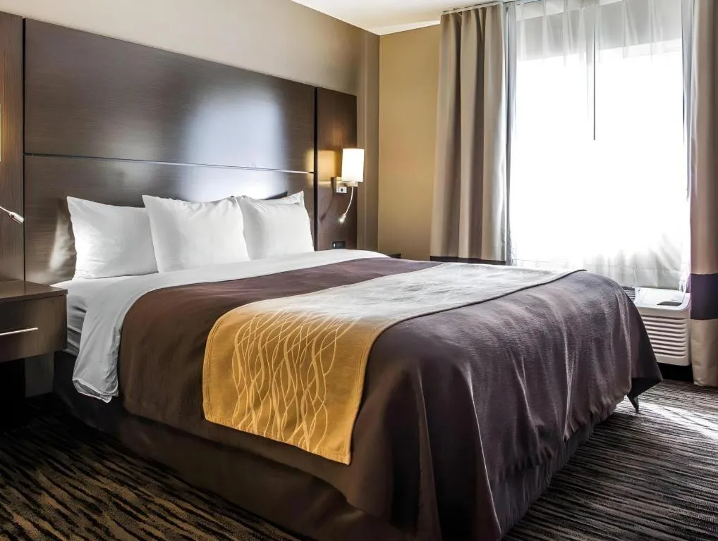 Bed in Quality Inn Dayton North - Vandalia