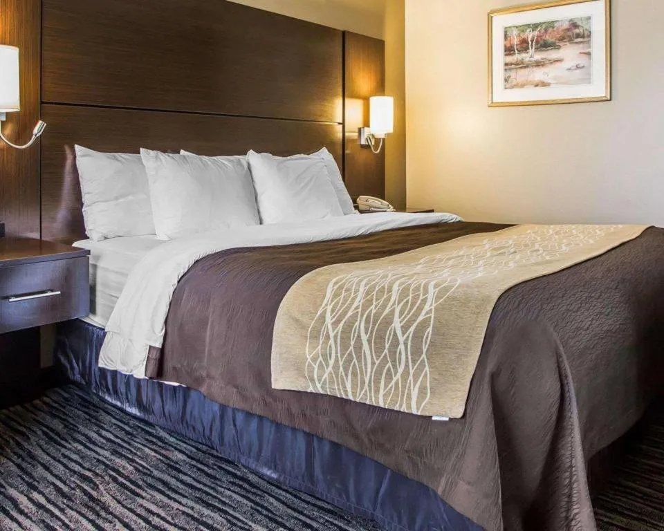 Bed in Quality Inn Dayton North - Vandalia