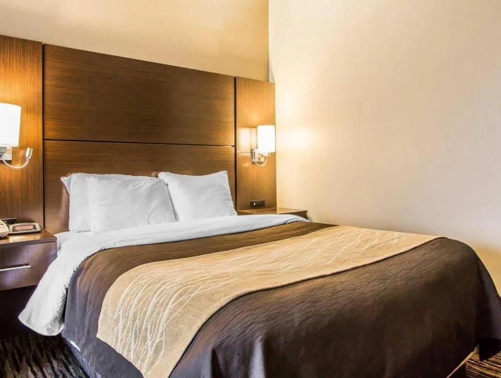 Bed in Quality Inn Dayton North - Vandalia