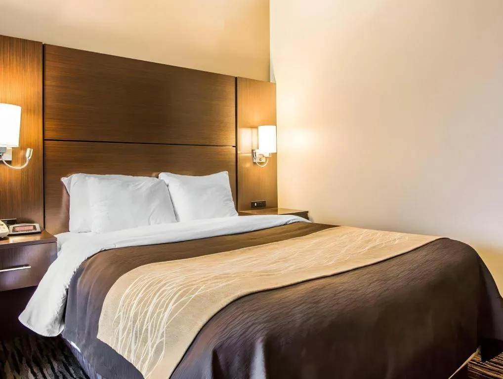 Bed in Quality Inn Dayton North - Vandalia