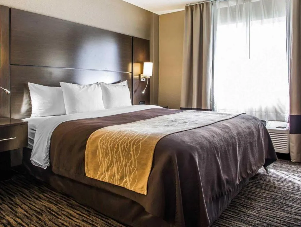 Bed in Quality Inn Dayton North - Vandalia