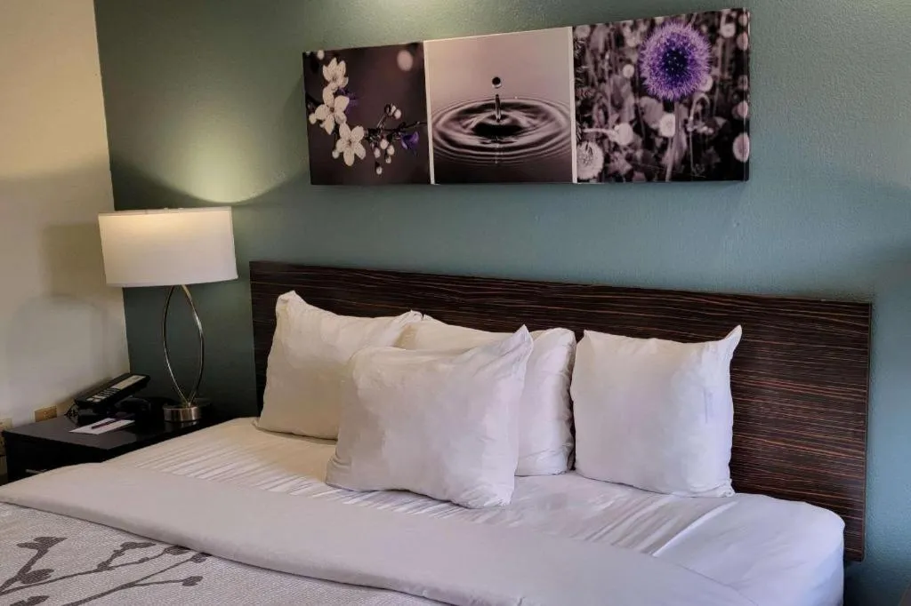 Bed in Sleep Inn Bessemer Helena