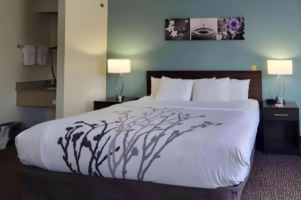 Bed in Sleep Inn Bessemer Helena