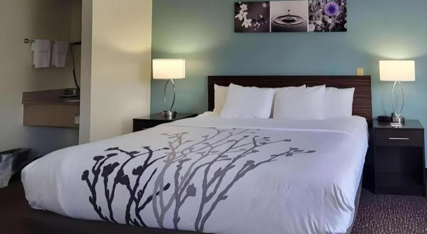 Bed in Sleep Inn Bessemer Helena