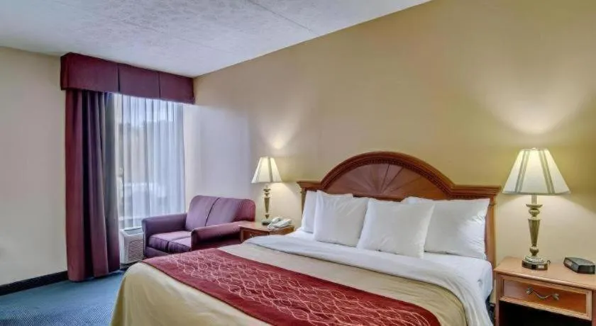 Bed in Quality Inn near Martinsville Speedway