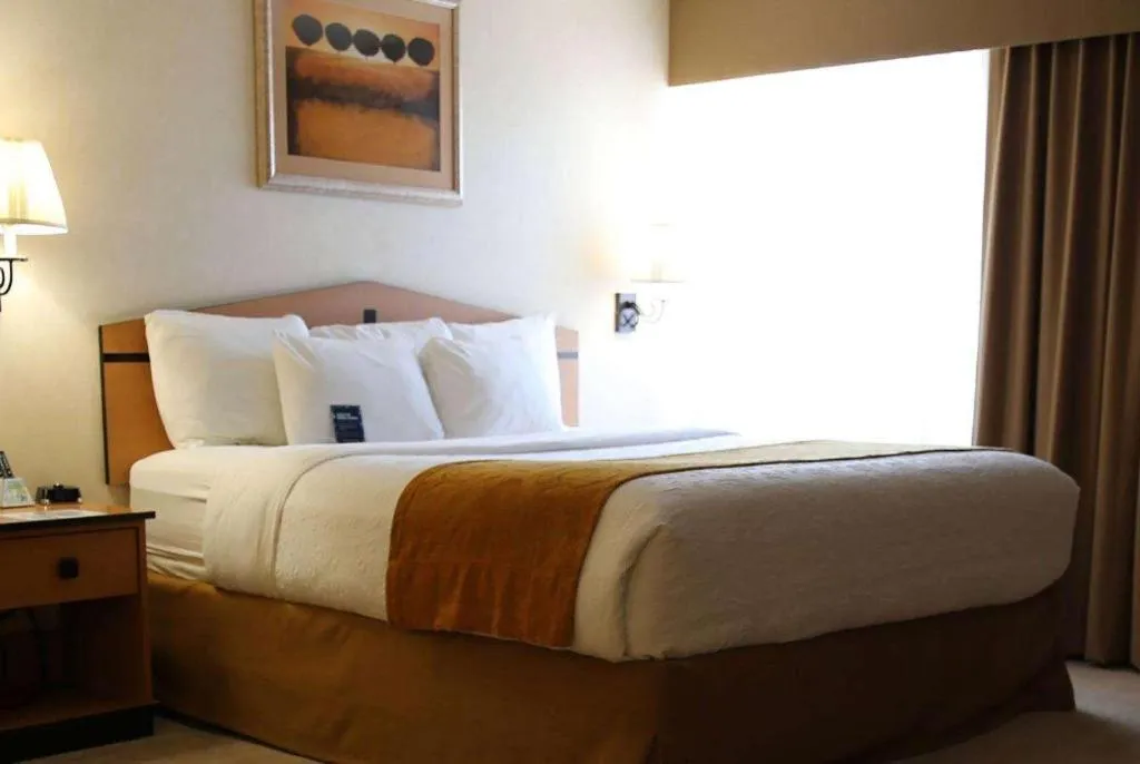 Bed in AmericInn by Wyndham Denver Airport