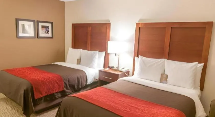 Bed in Comfort Inn Quantico