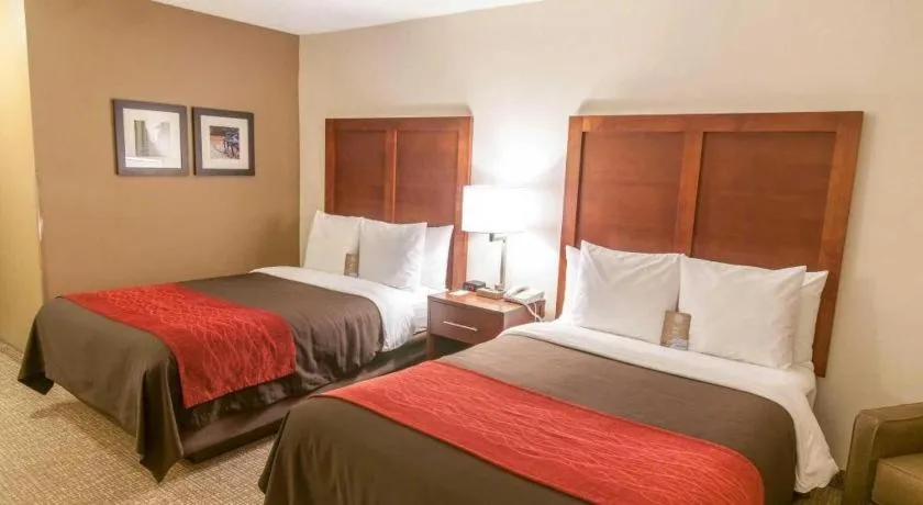 Bed in Comfort Inn Quantico