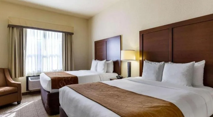 Bed in Comfort Suites near NASA - Clear Lake