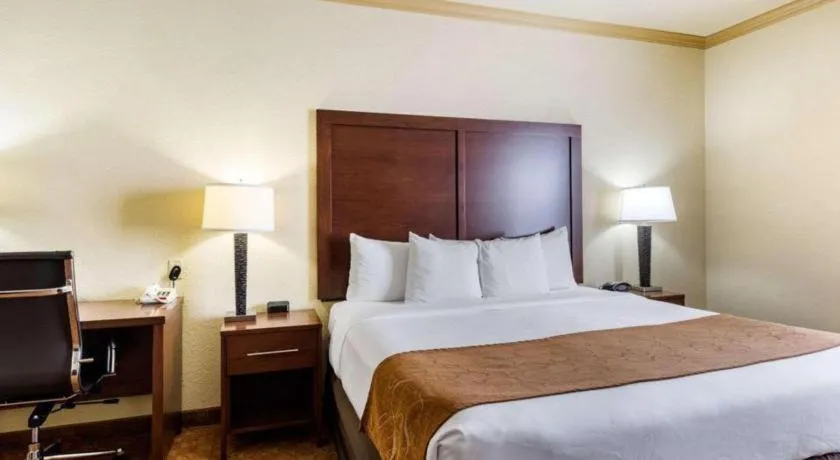 Bed in Comfort Suites near NASA - Clear Lake