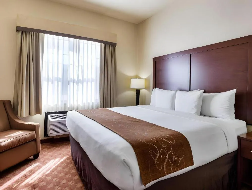 Bed in Comfort Suites near NASA - Clear Lake