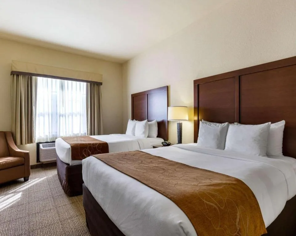 Bed in Comfort Suites near NASA - Clear Lake