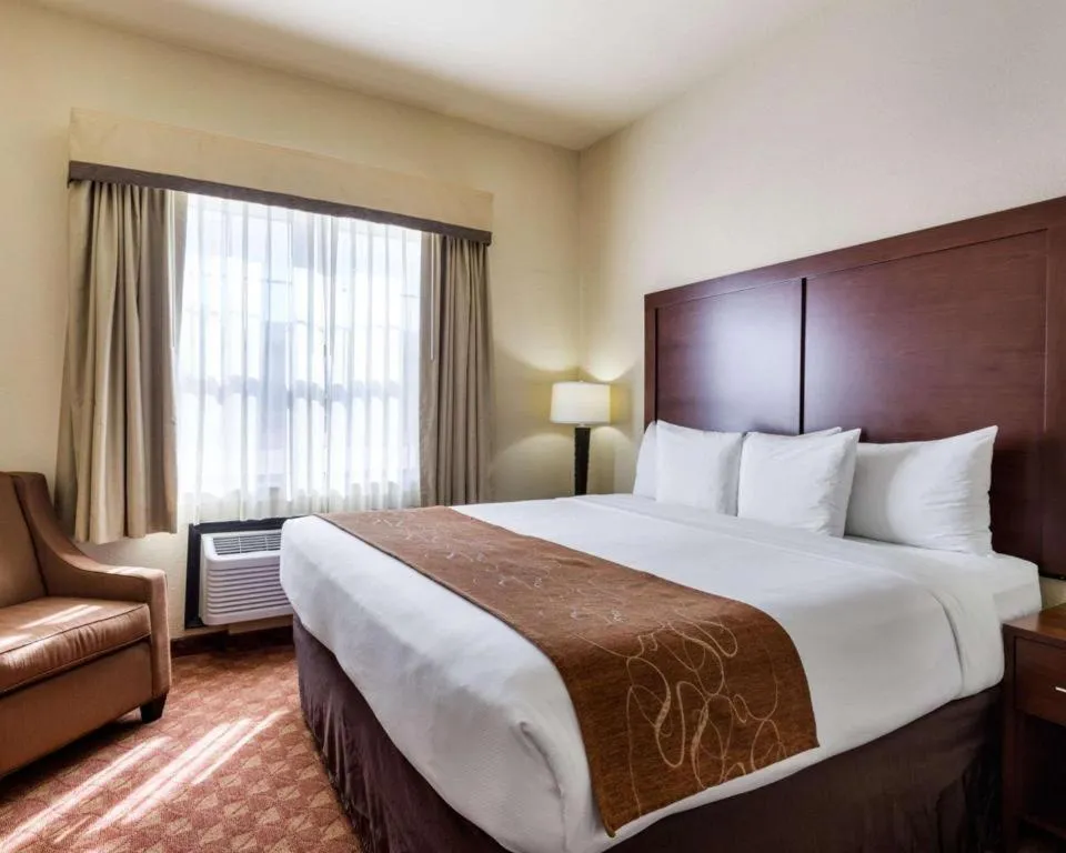 Bed in Comfort Suites near NASA - Clear Lake