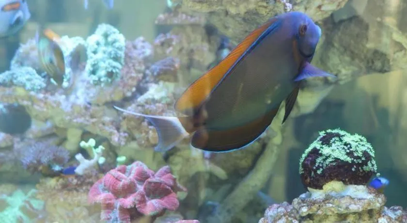 Glacier Hotel Khon Kaen