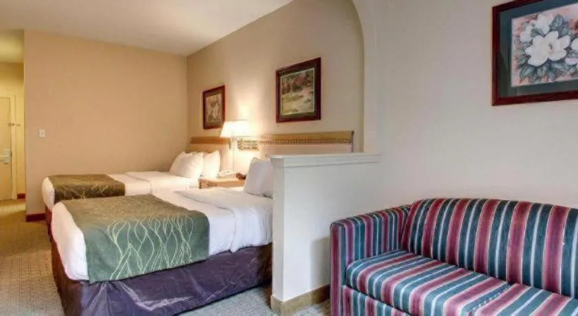 Bed in Baymont By Wyndham Laurel