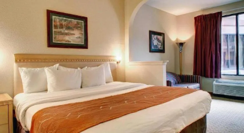 Bed in Baymont By Wyndham Laurel