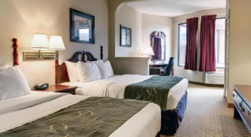 Bed in Baymont By Wyndham Laurel