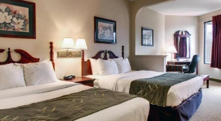 Bed in Baymont By Wyndham Laurel