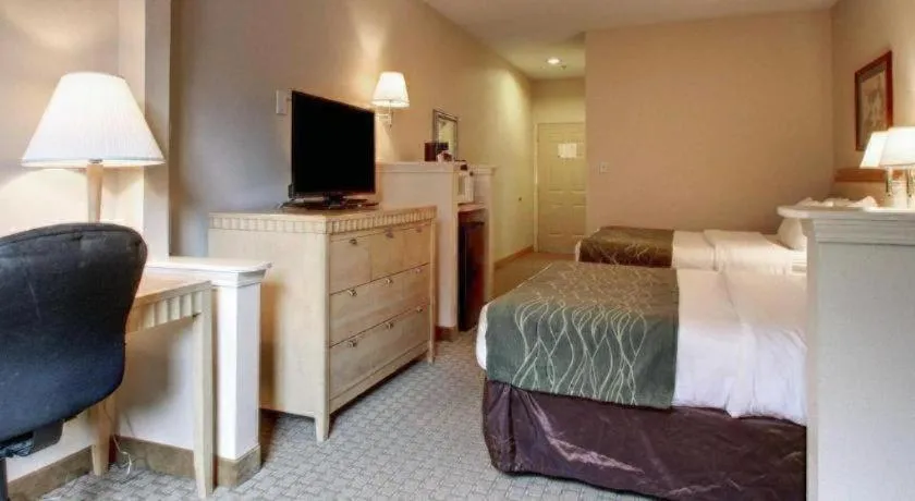 Bed in Baymont By Wyndham Laurel