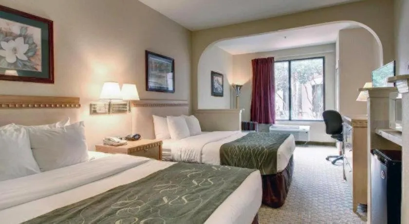 Bed in Baymont By Wyndham Laurel