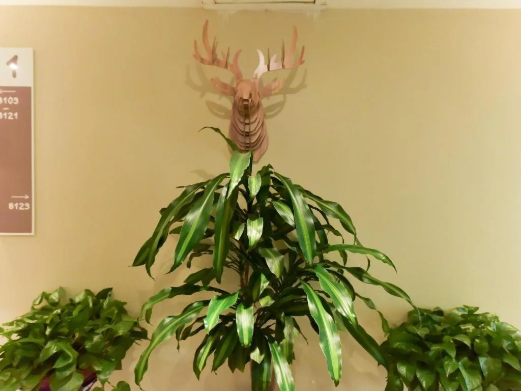 Ibis Xiamen Railway Station Hotel