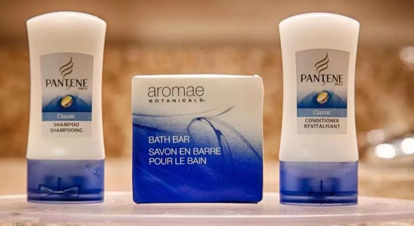 Best Western Plus Circle Inn