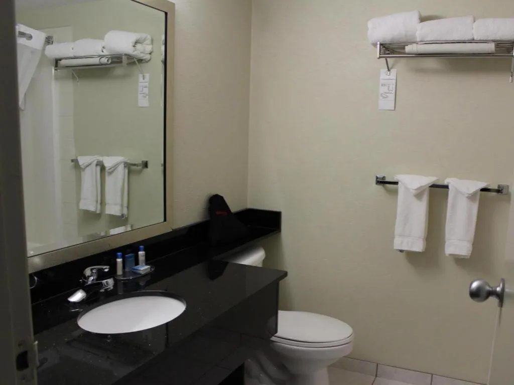 Best Western High Road Inn Hotel