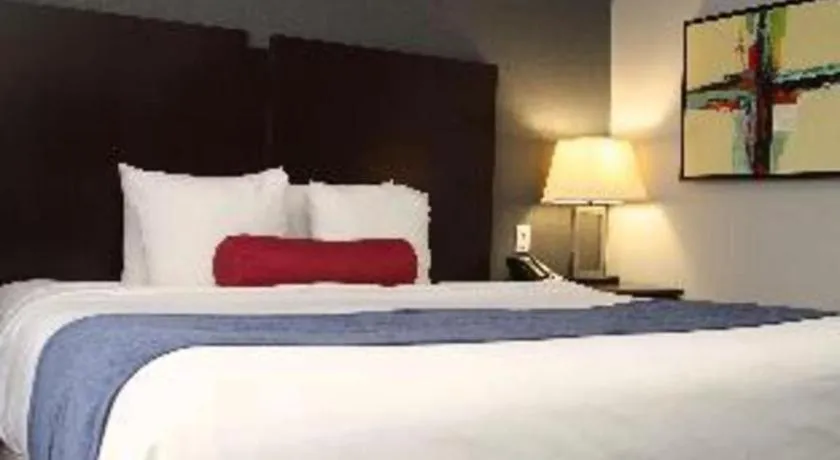 Bed in Best Western Plus Olathe Hotel