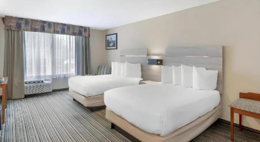 Bed in Best Western Plus Twin View Inn & Suites