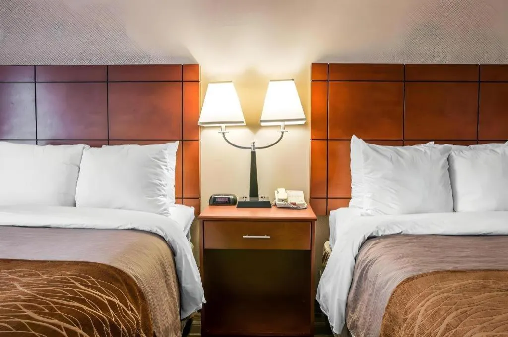 Bed in Comfort Inn & Suites University South