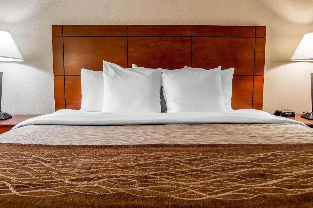 Bed in Comfort Inn & Suites University South