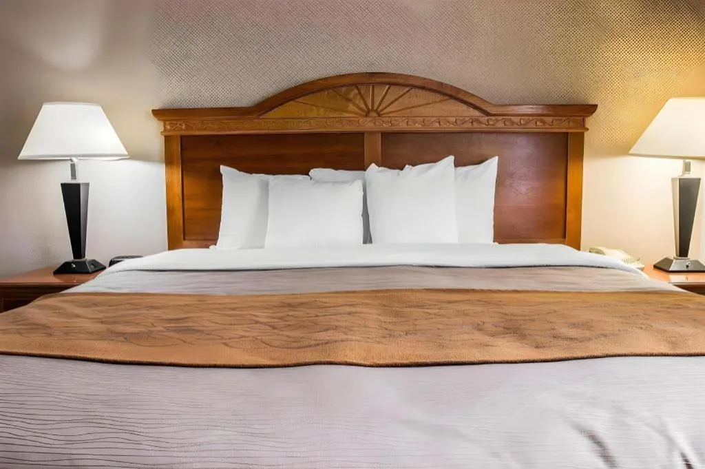 Bed in Comfort Inn & Suites University South