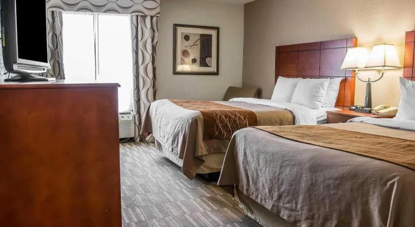 Bed in Comfort Inn & Suites University South