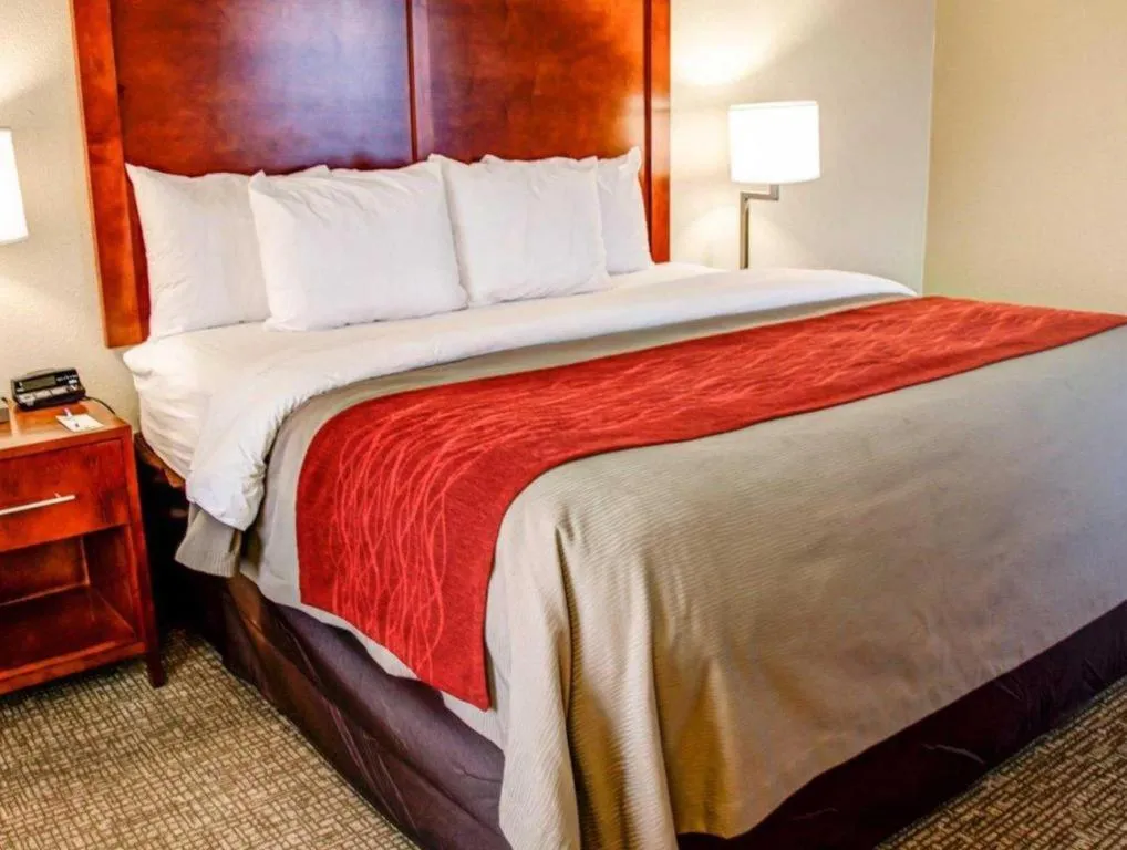 Bed in Comfort Inn Bessemer Birmingham South