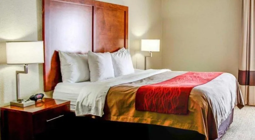 Comfort Inn Bessemer Birmingham South